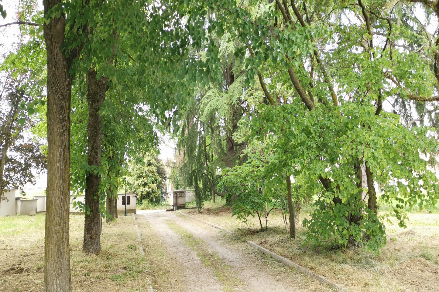 Il rigoglioso giardino circostante