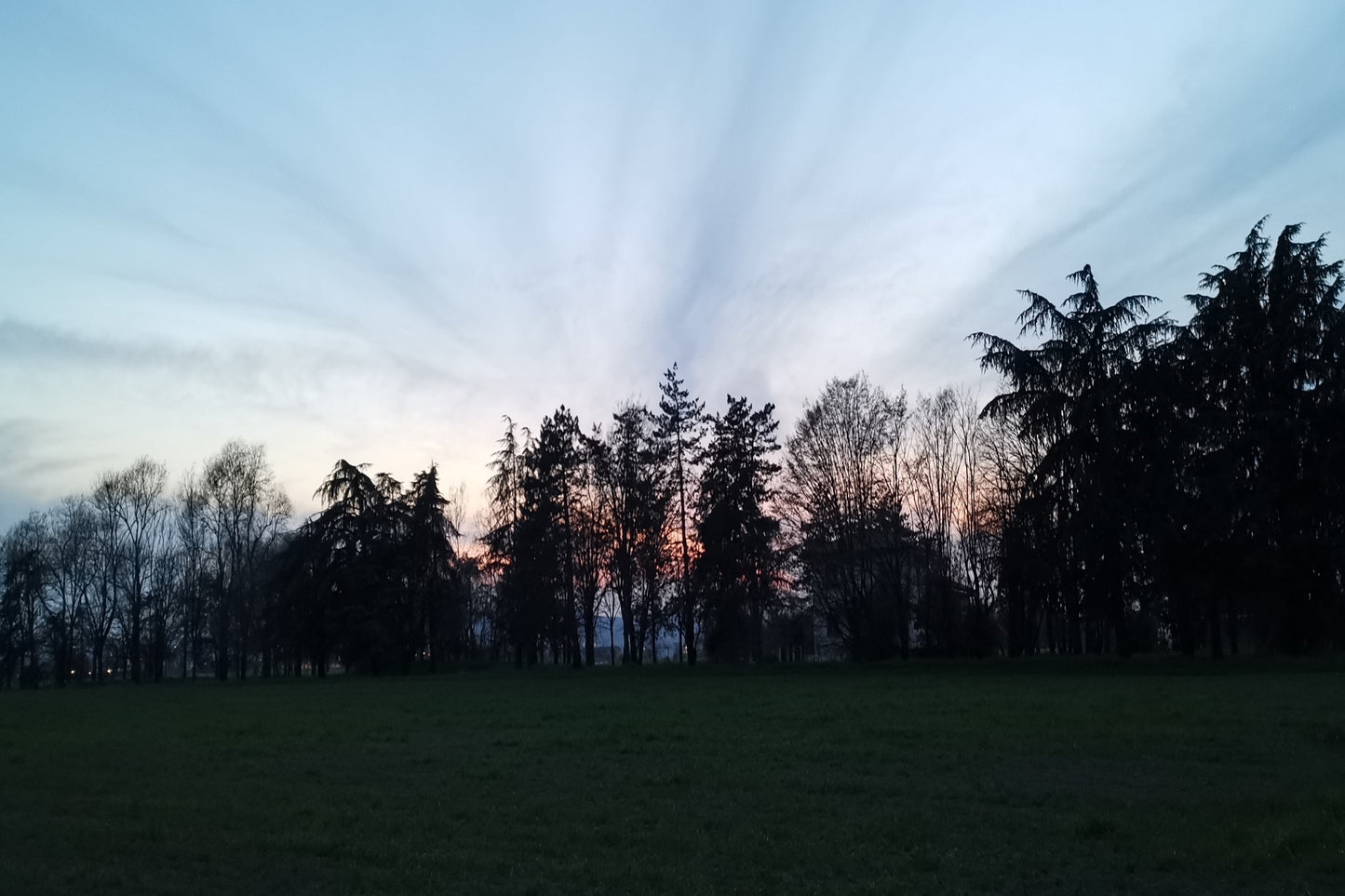 Il rigoglioso giardino circostante